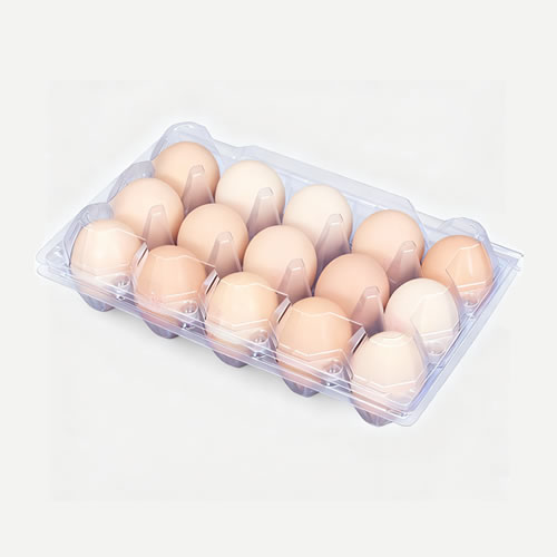 Egg Tray