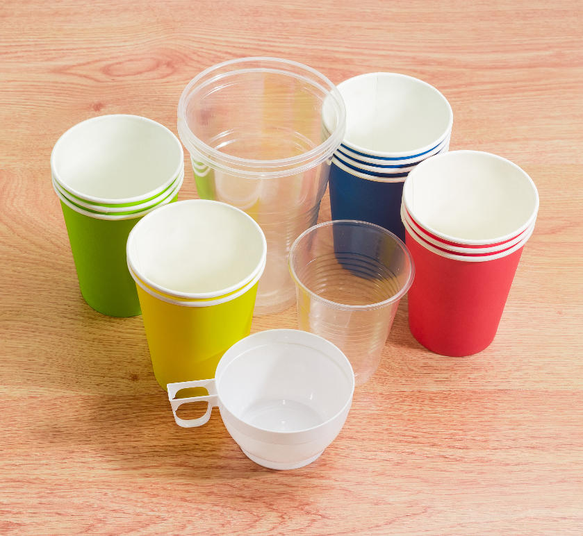 Precision in Food Packaging: How Rayshape’s Multi-Station Systems Define the Future of Disposable Containers