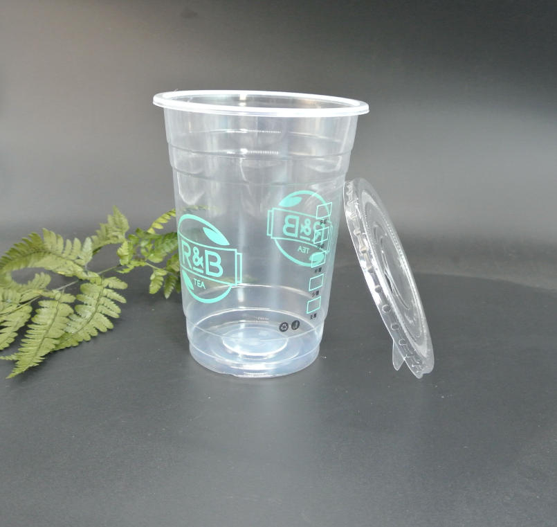 Precision in Food Packaging: How Rayshape’s Multi-Station Systems Define the Future of Disposable Containers