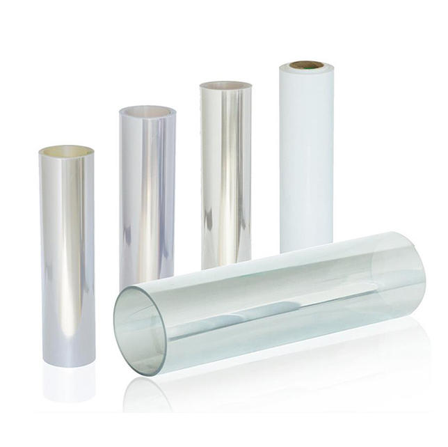 Precision in Food Packaging: How Rayshape’s Multi-Station Systems Define the Future of Disposable Containers