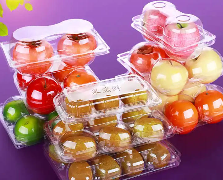 Precision in Food Packaging: How Rayshape’s Multi-Station Systems Define the Future of Disposable Containers