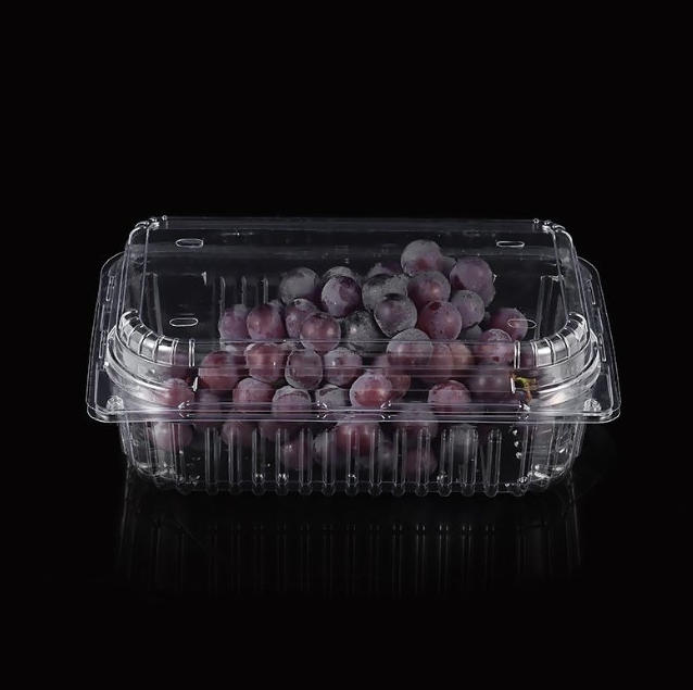 From Sheet to Shelf: The Integrated Production Power of Plastic Sheet Extruders and Thermoforming Lines