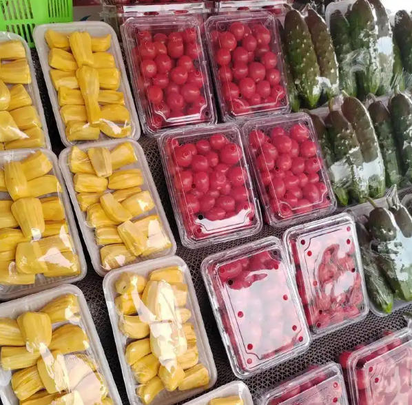 Plastic Container Making Machine: Engineered for Durability and Throughput​