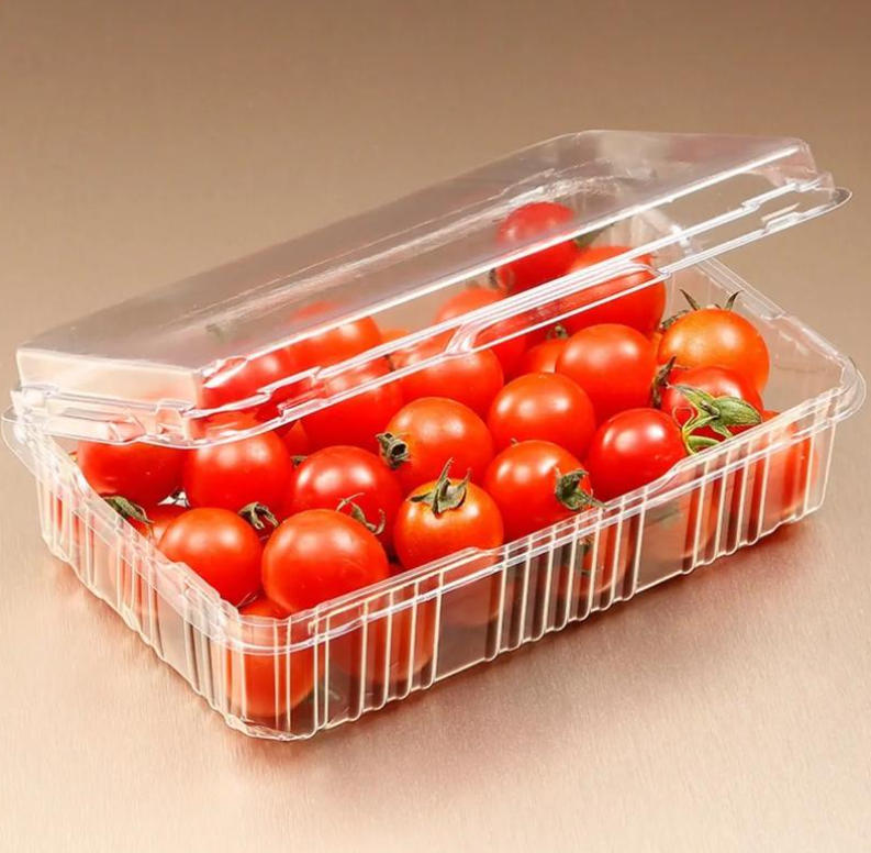 Sheet Extrusion Line for Bio-Based and Biodegradable Polymers​