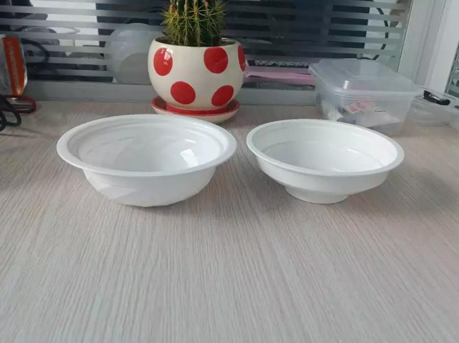 The Green Revolution in Plastic Packaging: Material Versatility and Sustainability with Rayshape Machinery