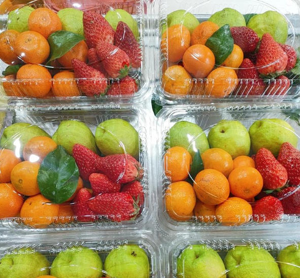 Plastic Thermoformer: The Accessible and Essential Former​