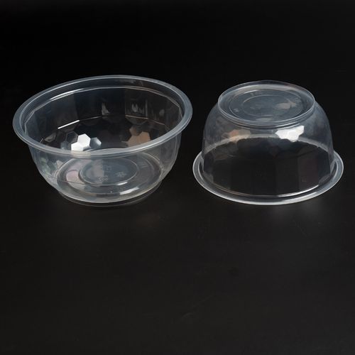 Precision in Food Packaging: How Rayshape’s Multi-Station Systems Define the Future of Disposable Containers