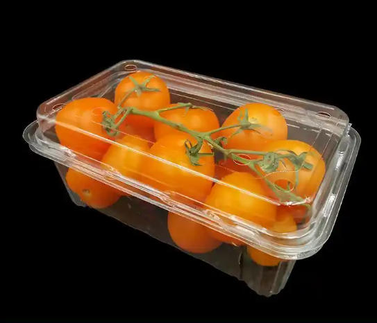 Pp Plastic Thermoforming Machine: Mastering a Semi-Crystalline Workhorse​