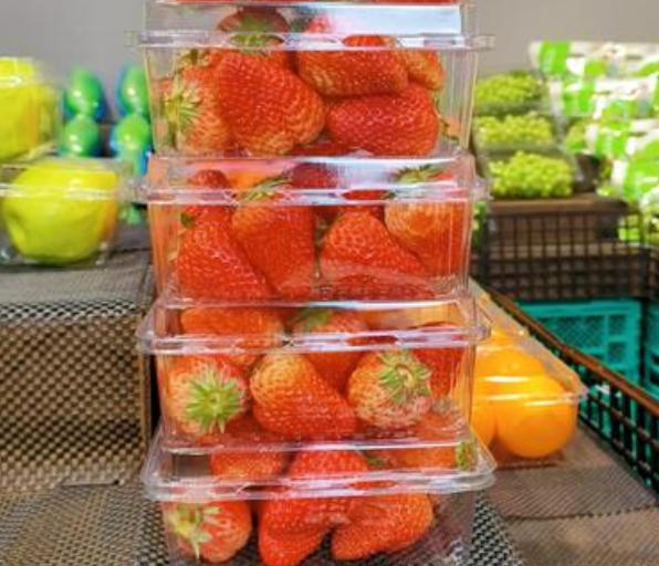 Engineering Precision: Understanding the Mechanics of Rayshape Multi-station Thermoforming Machines