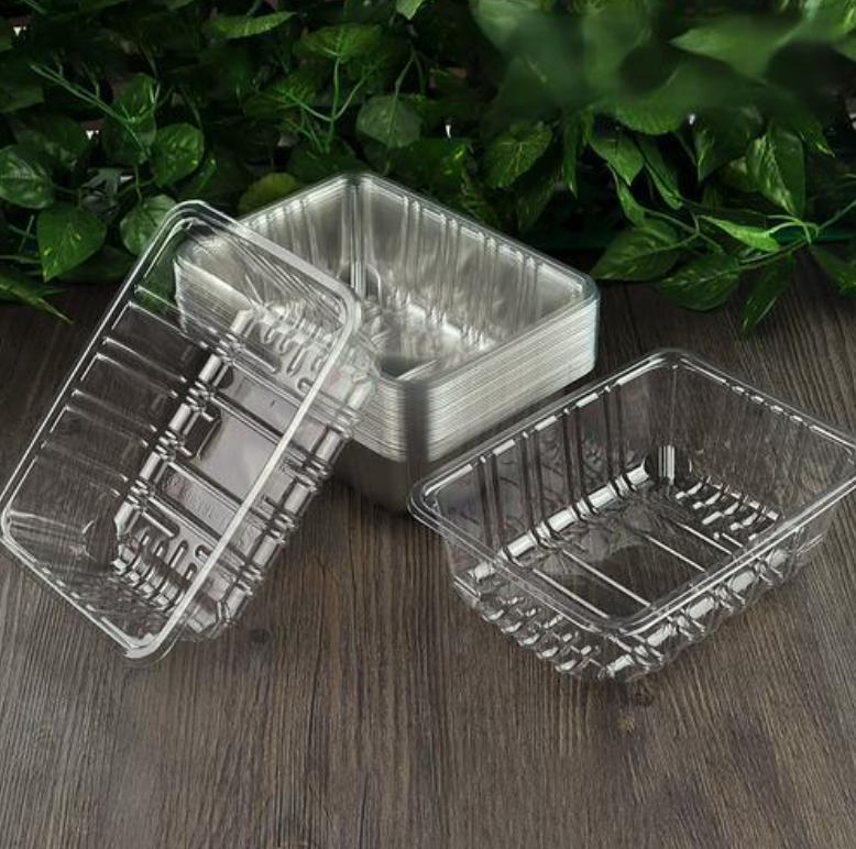 Engineering Precision: Understanding the Mechanics of Rayshape Multi-station Thermoforming Machines