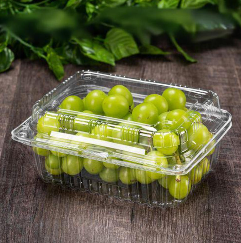 Future-Oriented HMI and PLC Systems in Global Thermoforming