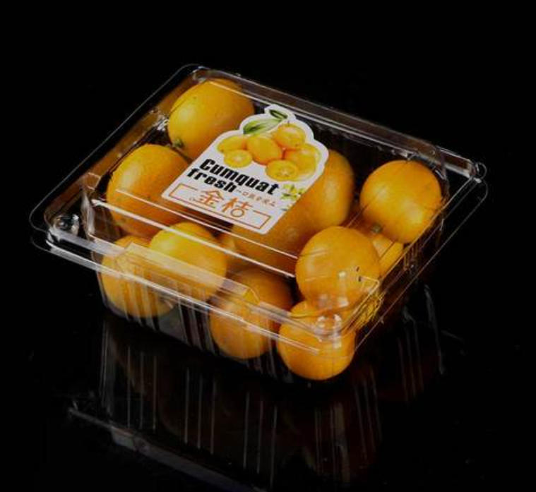 The Revolution of Automation in Modern Packaging: A Deep Dive into Rayshape Machinery’s Fully Automatic Thermoforming Solutions