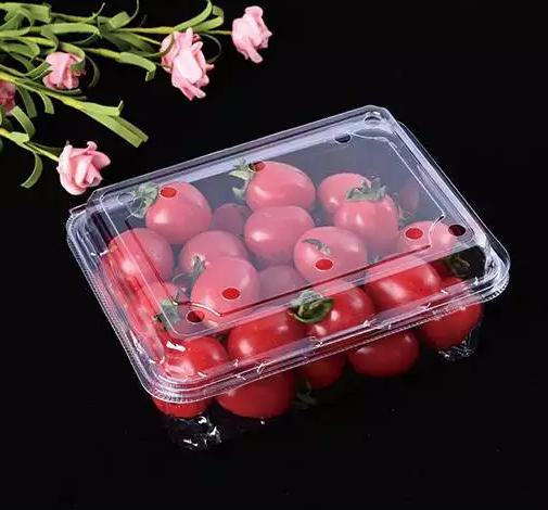 From Sheet to Shelf: The Integrated Production Power of Plastic Sheet Extruders and Thermoforming Lines