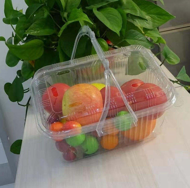 The Revolution of Automation in Modern Packaging: A Deep Dive into Rayshape Machinery’s Fully Automatic Thermoforming Solutions