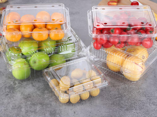 Pet Thermoforming Machine: Optimized for Clarity, Strength, and Recyclability​