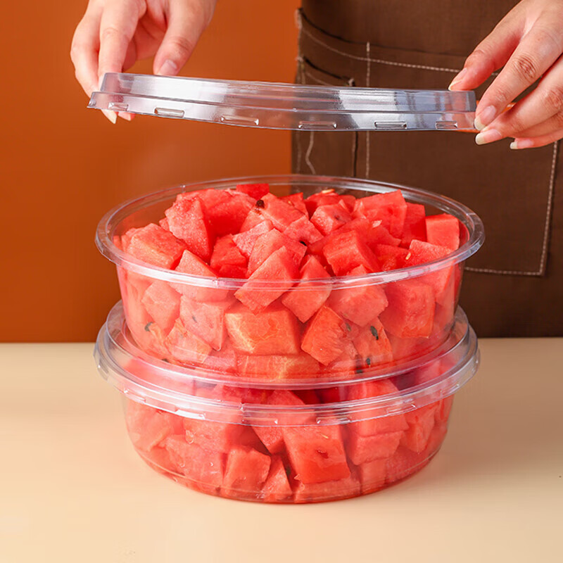 Precision in Food Packaging: How Rayshape’s Multi-Station Systems Define the Future of Disposable Containers