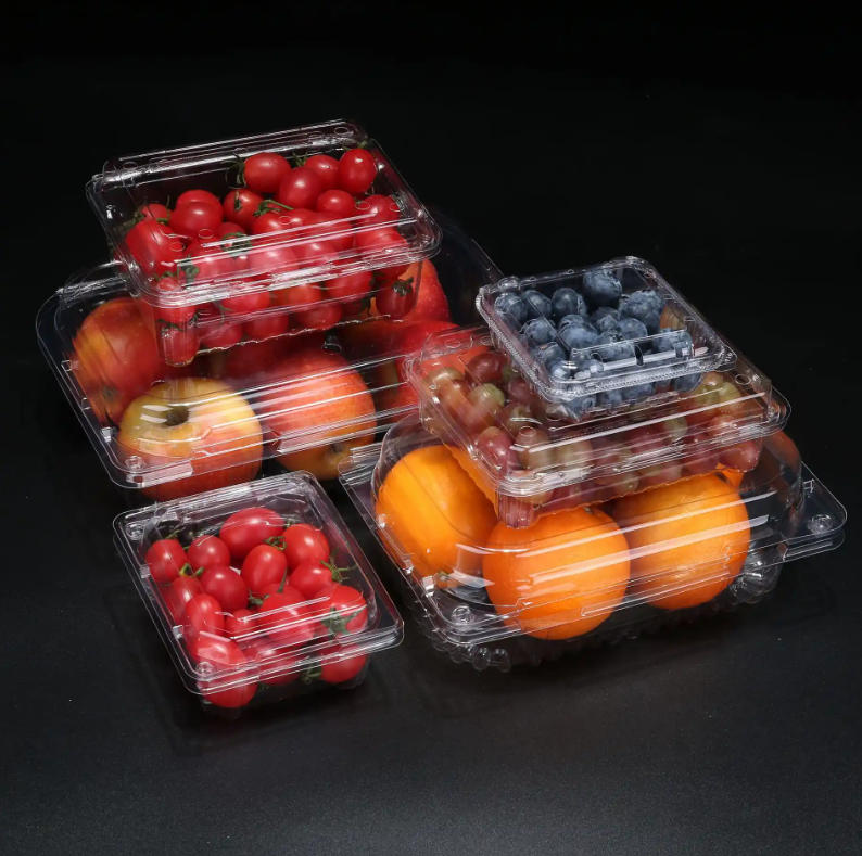Precision in Food Packaging: How Rayshape’s Multi-Station Systems Define the Future of Disposable Containers