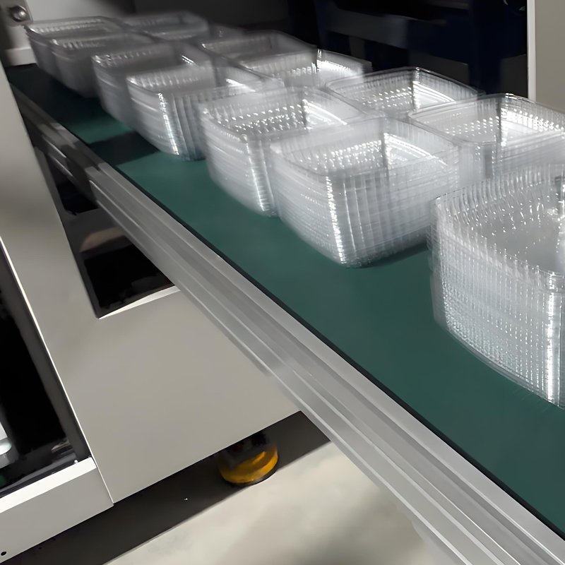 Servo-controlled conveyor belt