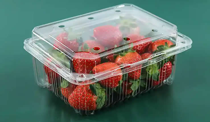 Fully Automatic Plastic Thermoforming Machine