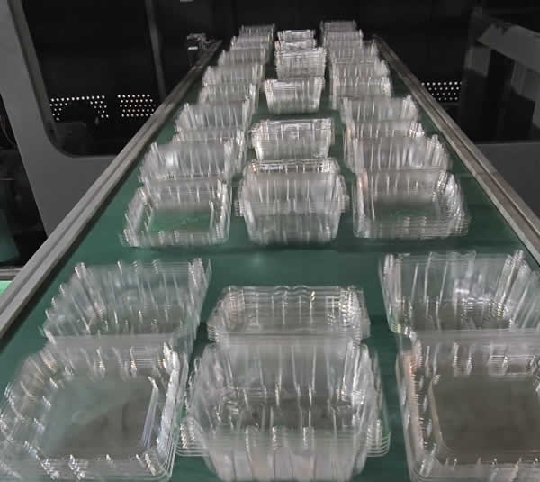 Plastic Container Machine video