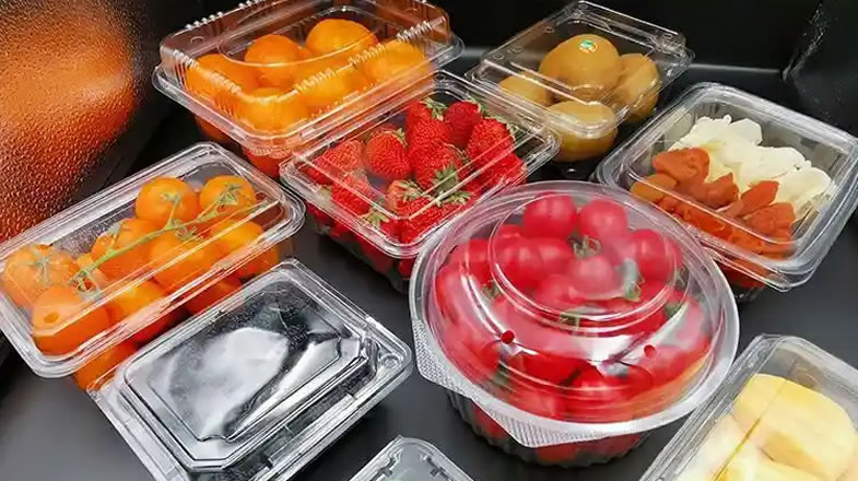 Plastic Thermoforming Machine - Four Station