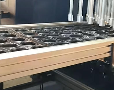 Durable Seedling Tray Making Machine Plastic Seedling Box Thermoforming Machine for Plant Pot