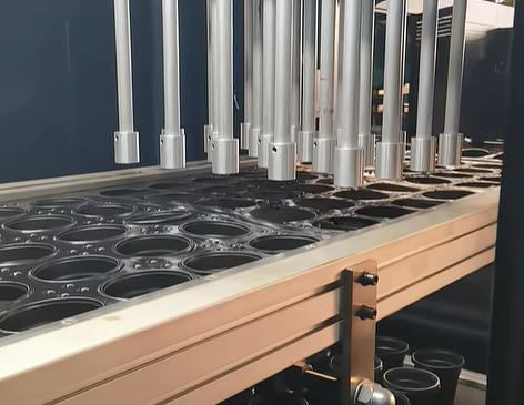 Automatic Seedling Tray Making Machine Plastic Seedling Box Thermoforming Machine Plant Pot Making Machine for Agriculture