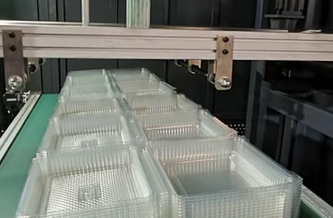 High Speed Plastic Forming Machine Automatic Vacuum Forming Machine for Disposable Food Box and Fruit Tray Making Process