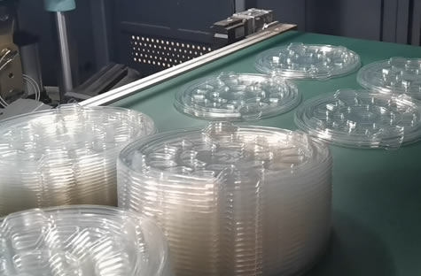 High-Efficiency RS-750-800-4 :The Future of Multi-Station Plastic Thermoforming