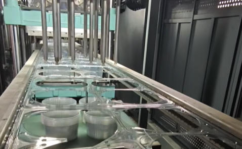 Energy Saving PET Thermoforming Machine PET Material Plastic Thermoforming Machine for Plastic Fruit Box and Food Container