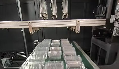 Advanced Plastic Thermoforming Equipment for PP PET Food Container Making Machine Automatic Seedling Tray Forming Machine