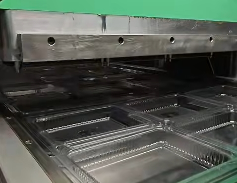 High Speed Plastic Forming Machine Automatic Vacuum Forming Machine for Disposable Food Box and Fruit Tray Making Process