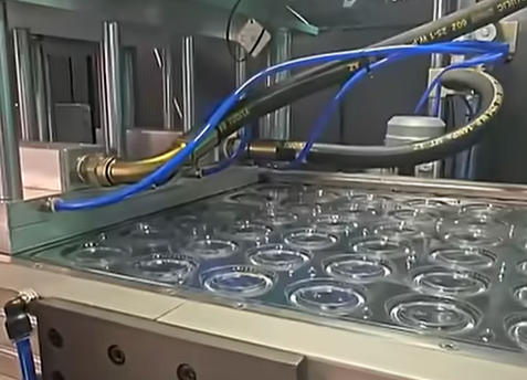 Multi Station Plastic Thermoforming Equipment for Fruit Box Seedling Tray and Cup Lid Making Plastic Forming Machine Price