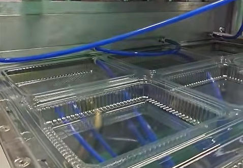 Industrial Plastic Food Container Machine Automatic PP PET Vacuum Forming Machine for Egg Tray and Fruit Box Manufacturing